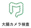 大腸カメラ検査